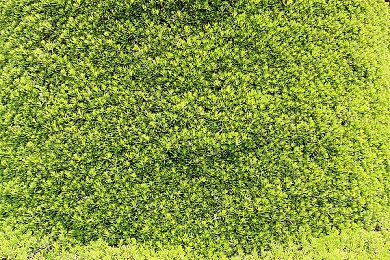 《我的可爱女儿(My Lovely Daughter)》免费更新「献祭的儿子」